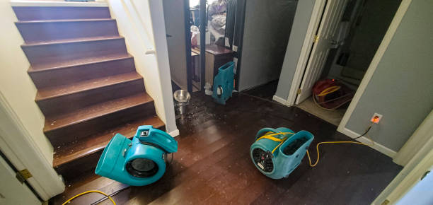 Best Water damage restoration process  in Westway, TX