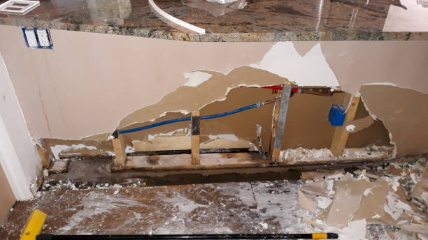 Best Fire Damage Restoration  in Westway, TX