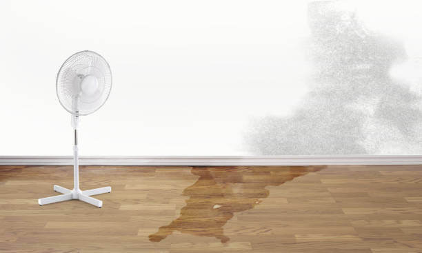 Best 24/7 water damage repair  in Westway, TX