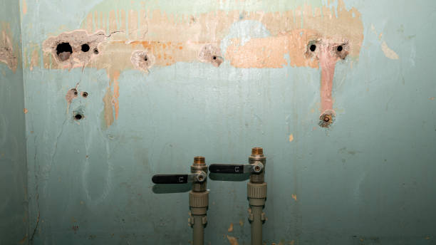 Best Residential water damage restoration  in Westway, TX