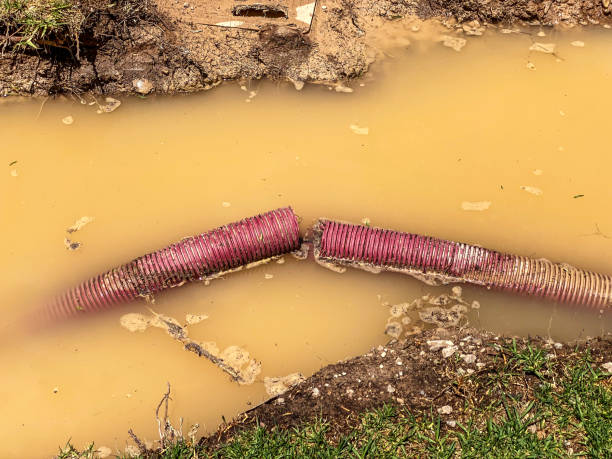 Best Emergency water damage restoration  in Westway, TX