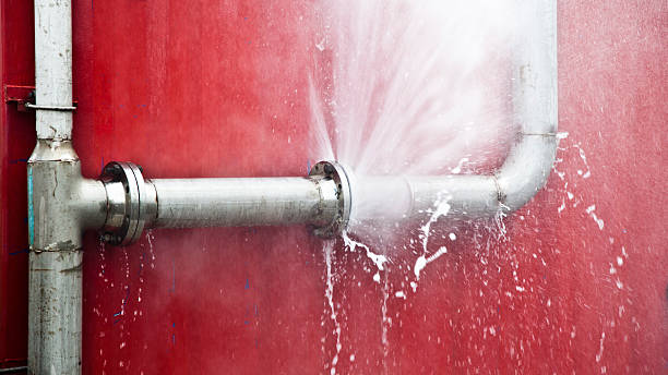 Best Water damage contractors near me  in Westway, TX